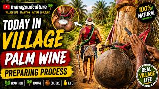 Traditional Toddy Tapping Process | Village Lifestyle Video🌴