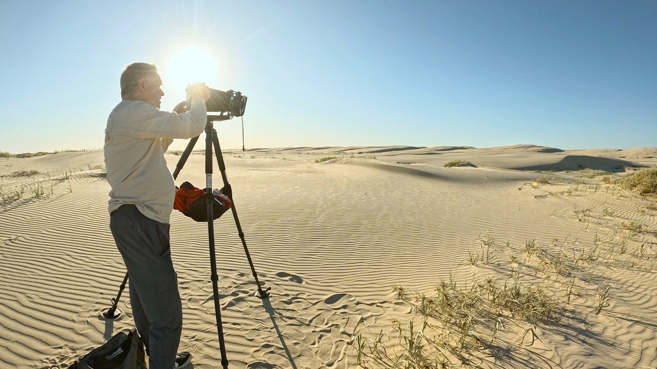Four 100 ISO B+W Films Compared – Anna Bay Sand Dunes – Toyo Field 45A – Fujinon W 250mm f6.7 lens