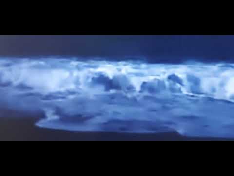 اغنيه التحدي صباح اتحدعنا واشترينا