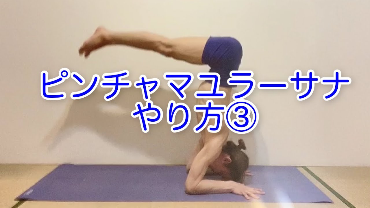 ピンチャマユラーサナ コツ 強くてしなやかな身体づくり ヒョニヨガ