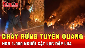 Cháy rừng ở núi Nghiêm Tuyên Quang chưa tắt, hơn 1.000 người trắng đêm dập lửa | Tin nhanh