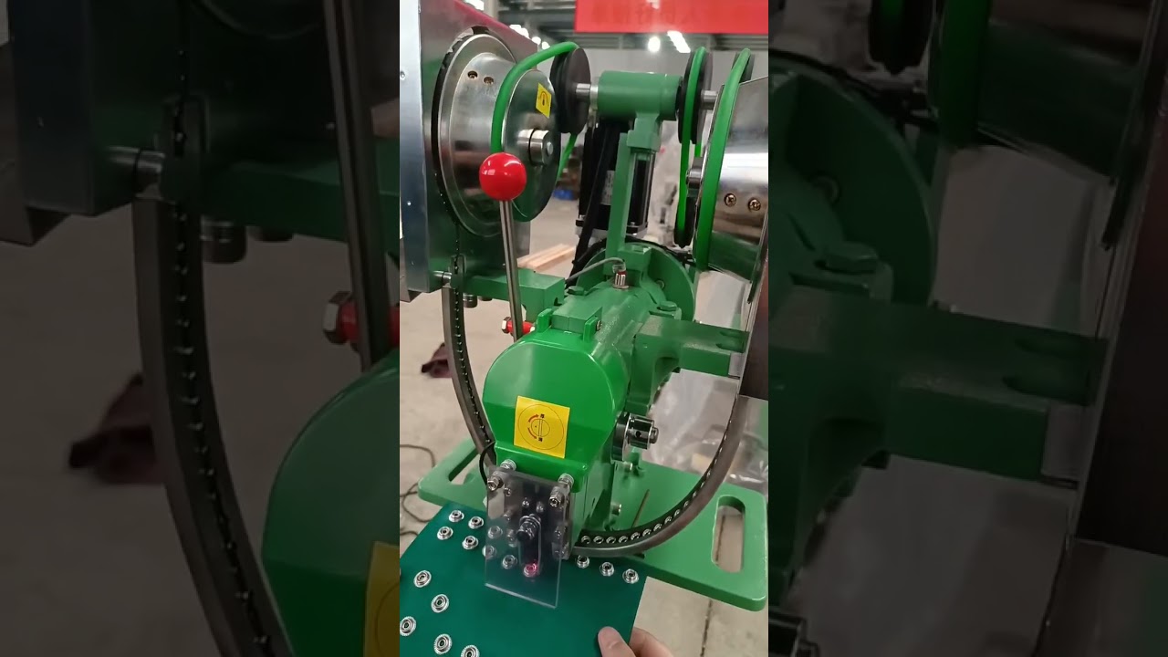 Fully Automatic Button Fastener Machine RM-S2F for Germany Clients 