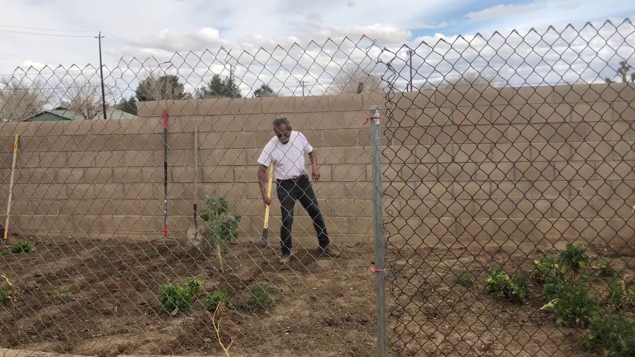 COMO PREPARAR LA TIERRA PARA SEMBRAR VEGETALES ORGÁNICOS!!! YouTube COMO PREPARAR LA TIERRA PARA SEMBRAR VEGETALES ORGÁNICOS!!! YouTube