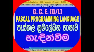 What is Pascal  GCE OL ICT in sinhala (it plus)