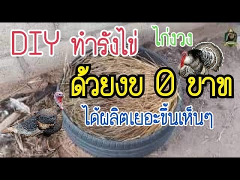 DIY ทำรังฟักไข่ จากยางรถยนต์เก่า งบ 0 บาท