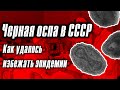 Чёрная оспа в СССР: как в Москве едва не вспыхнула эпидемия