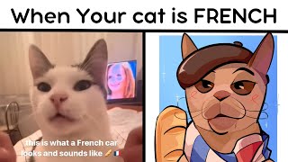 When your cat thinks he's French 🤣 Cat Memes That Will Burst Your Serotonin