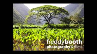 Miniatura del video "Hawaiian Roots Band - Mālama"