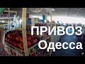 ОДЕССА, идём на ПРИВОЗ, смотреть обязательно...