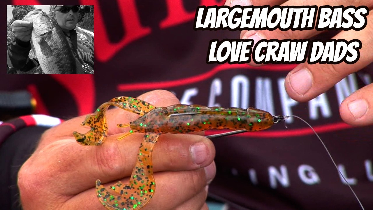 LARGEMOUTH BASS LOVE CRAWDADS- Retro Video Tips & Tactics