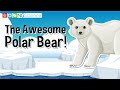 Polar Bear Adaptations and Threats