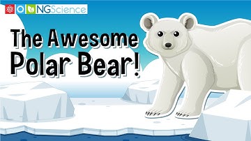 The Awesome Polar Bear!