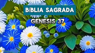: JOTA THIEL BIBLIA SAGRADA LEITURA COMPLETA GENESIS 37