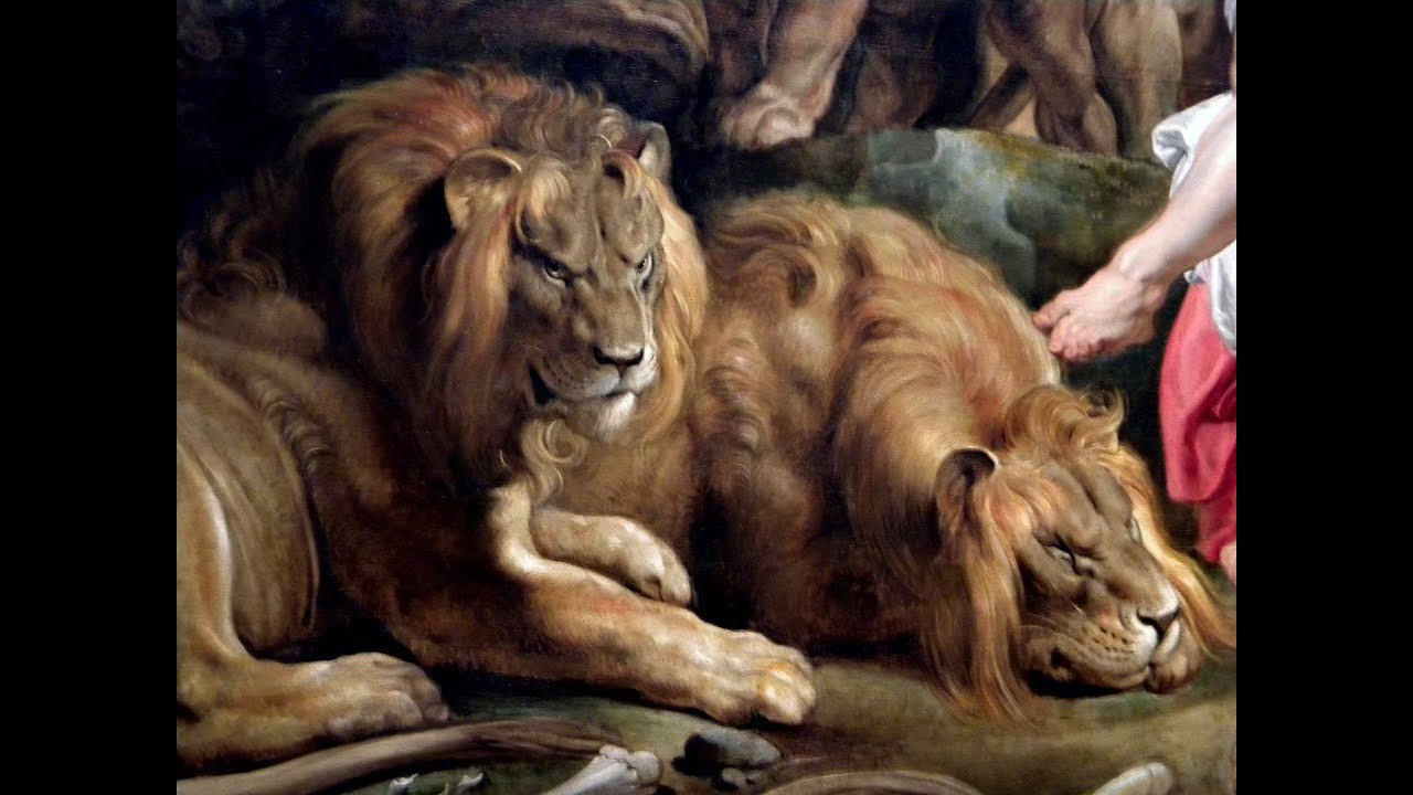 Схватки со львом. Питер Пауль Рубенс львы.