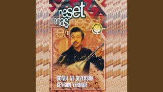 Neşet Ertaş - Ayaş Yolları