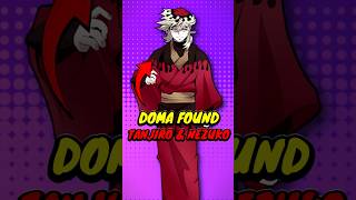 What If Doma Found Tanjiro? 😱 Demon Slayer Theory (Hindi)
