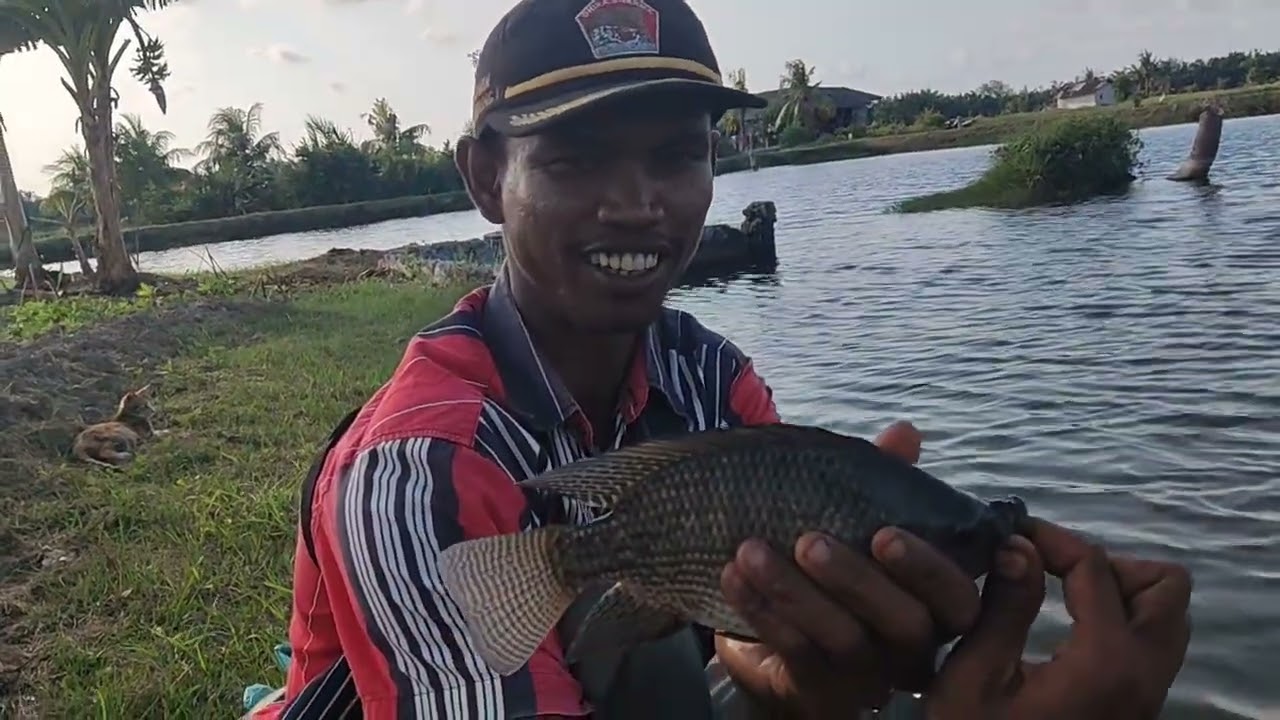 Perdana kolam Wak guding tgl 1/3/2026 tkt 100 RB jam 5 pagi Siombak kotacina 