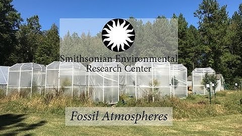 Fossil Atmospheres--2017 Citizen Science Newsletter