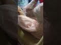 VID 20220822 WA0018 