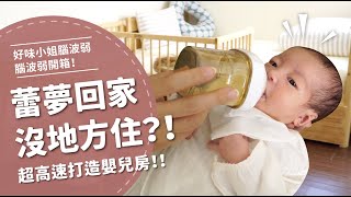 蕾夢回家沒地方住超高速打造嬰兒房【腦波弱開箱】EP38