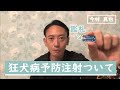 【狂犬病予防注射ついて】狂犬病予防注射は何故毎年打たなければいけないの？という疑問にお答えします