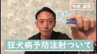 【狂犬病予防注射ついて】狂犬病予防注射は何故毎年打たなければいけないの？という疑問にお答えします