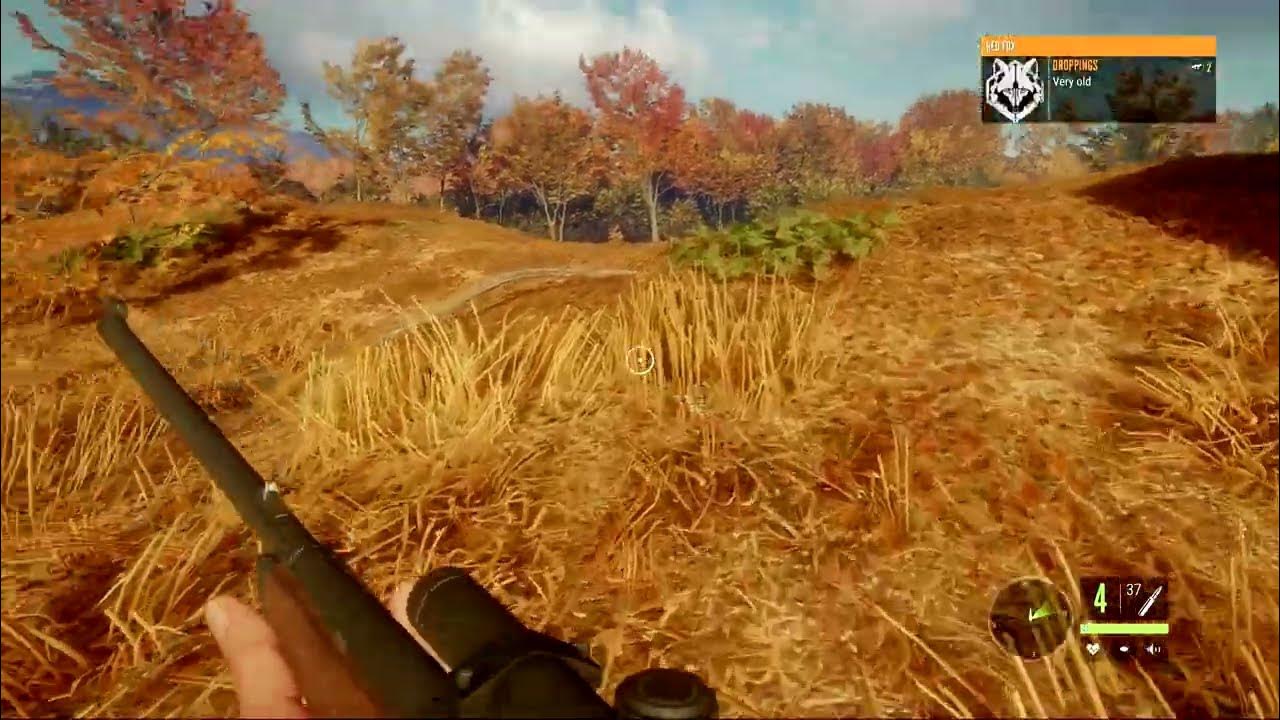 The Hunter Call Of The Wild Gamepass Xbox Series X YouTube