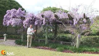 Hort Bark Usage And Tips