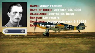 IL-2 Great Battle Series: BF-109F4 Adolf Fegelein Career part 1 Ground troop cover