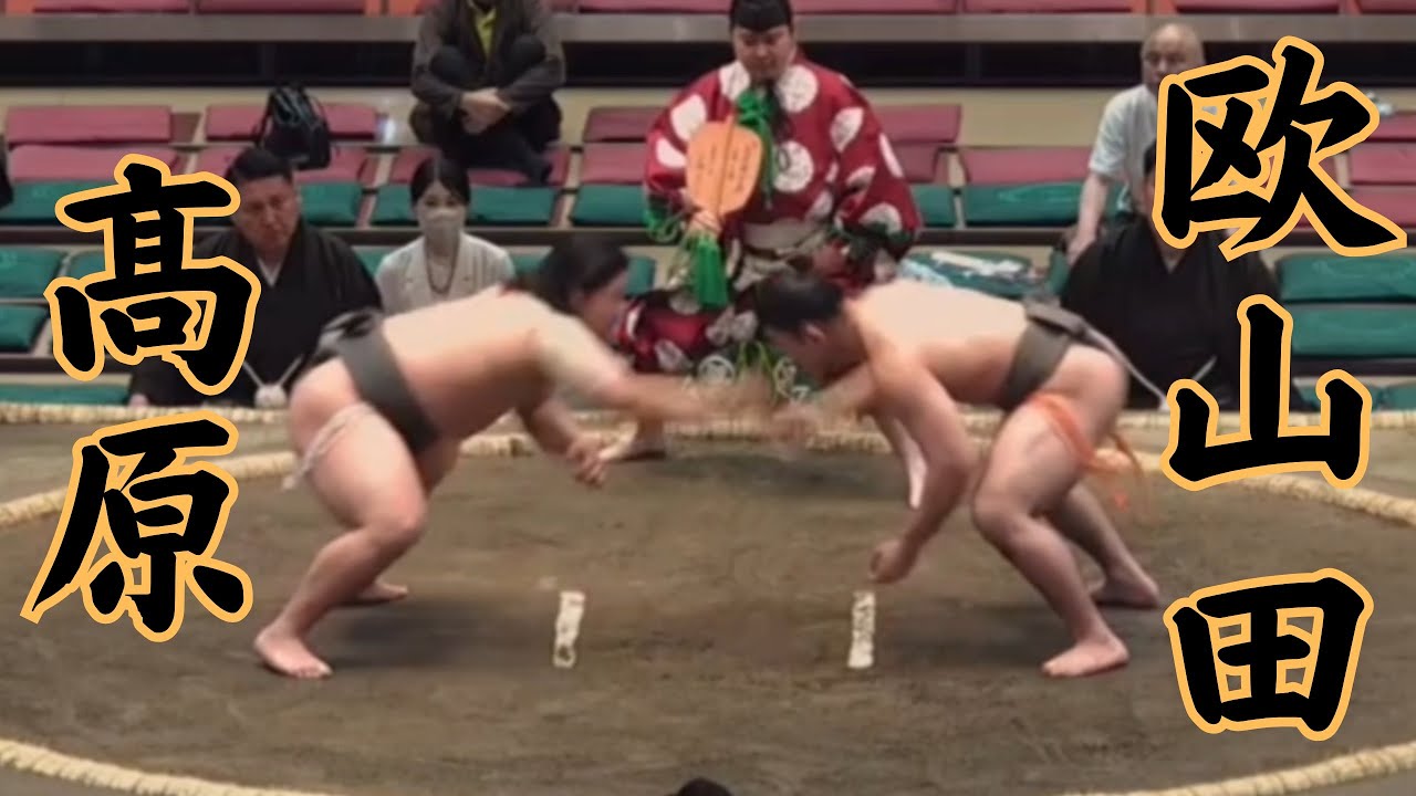 髙原VS欧山田 令和8年5月場所5日目 #sumo #相撲 #二子山部屋 - YouTube