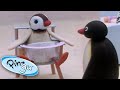 Pingu the babysitter  pingu official  1 hour  cartoons for kids