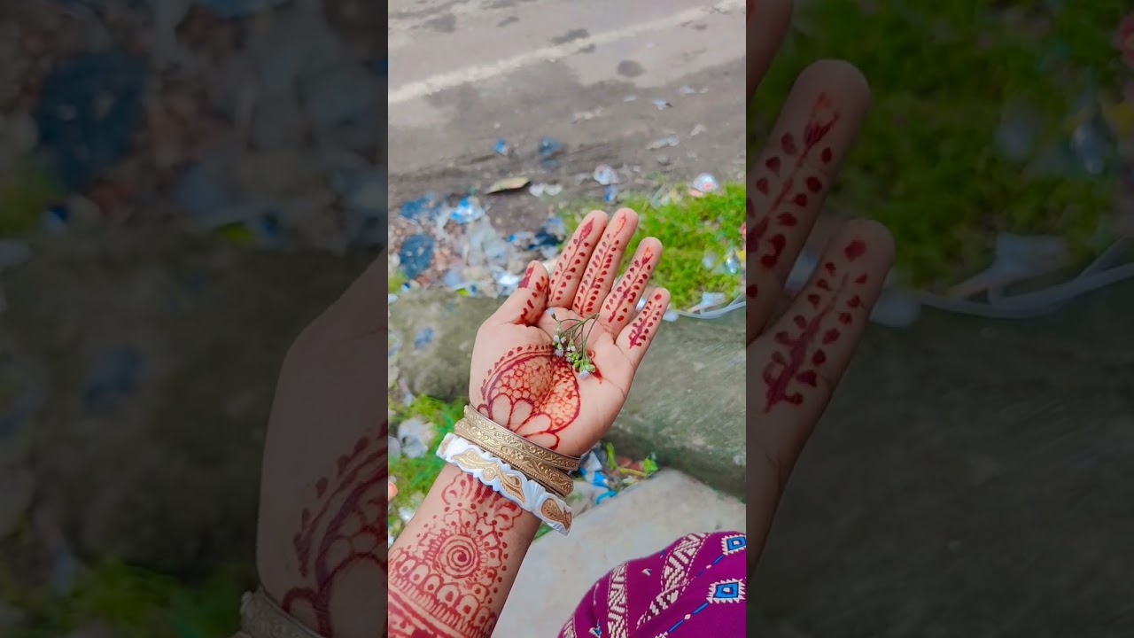 Моя жуча из Азии 