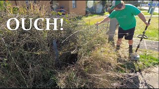 DANGER! This yard was SPILLING its THORNS ONTO THE PATH!