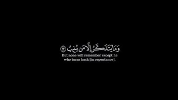 كرومة شاشة سوداء بصوت الشيخ #سعيد_الخطيب#سورة_غافر