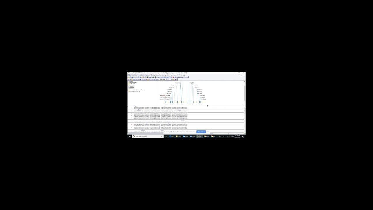 Vector Nti Vector NTI-cloning tips - YouTube