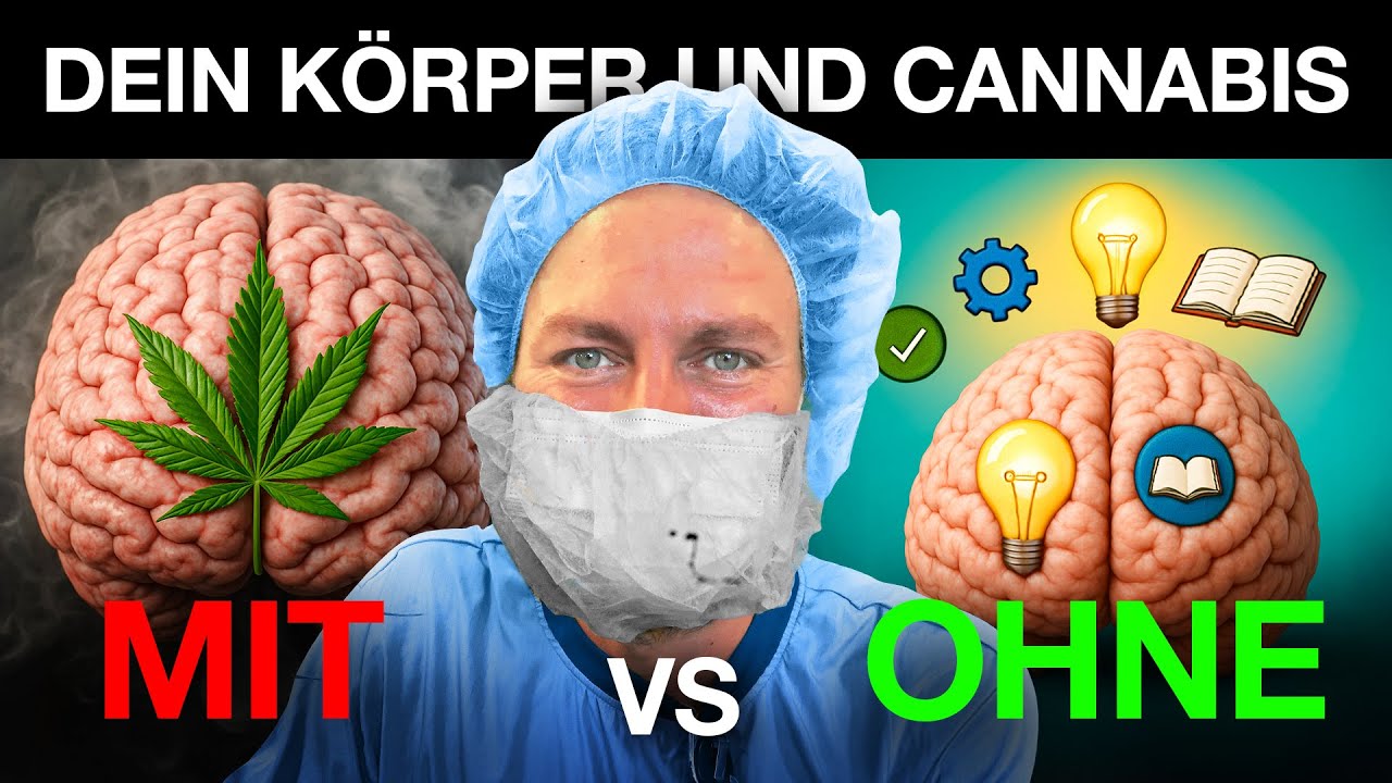 Körper MIT vs. OHNE Cannabis: Was passiert wirklich im Körper?
