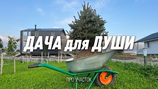 картинка: ДАЧА для ДУШИ: про благоустройство участка, ошибки и проект.
