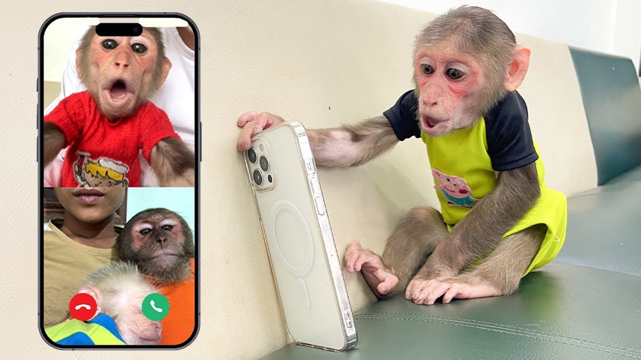 Emotional call after CUBIS and CUTIS' breakup!