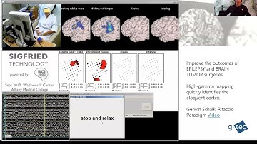 Spring School 2024: Functional mapping with the ECoG and Cortico-Cortical Evoked Potentials
