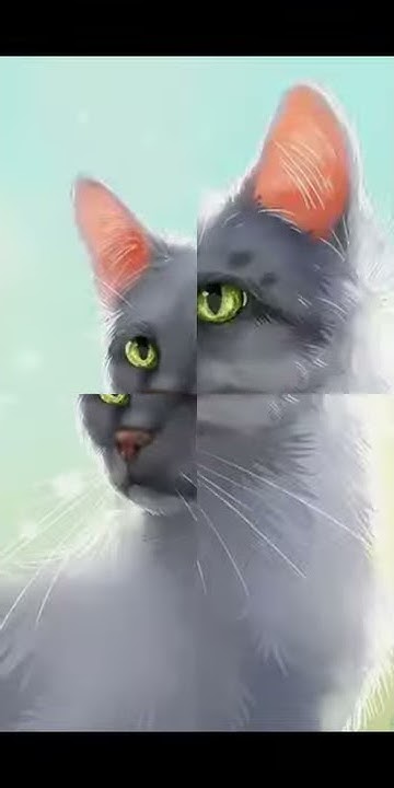 Коты-Воители|• Предводители племени Ветра по порядку|• - YouTube