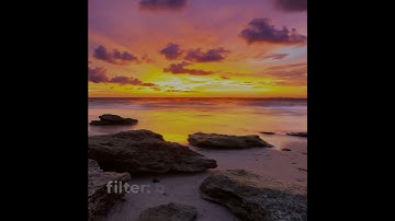 CSS Filter Property Tutorial #shorts