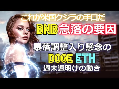 バイナンスコイン急落の要因、そして暴落を伴い調整入り懸念されるドージコインとイーサリ