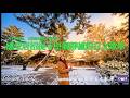 【Japanese POP】「千年前的人,也看過同樣的夕陽嗎?」 ⛩️ 感受唐招提寺堅韌靜謐的日文歌單|安靜放鬆・洗滌心靈・高音質 🌅 夕陽雜貨鋪 Vol.18