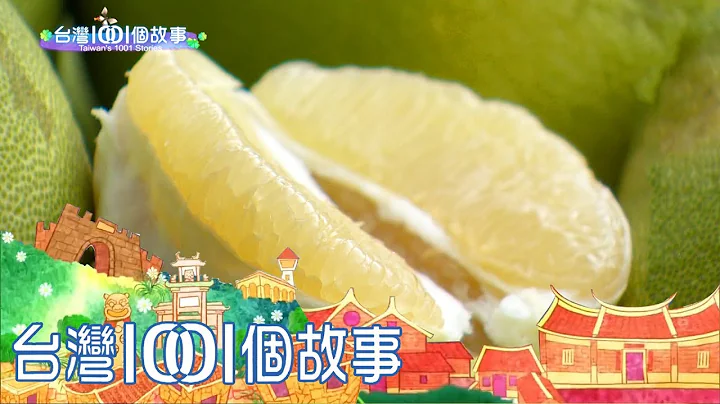 稻农退休种文旦 用心种出冠军品牌 part5 台湾1001个故事 - 天天要闻