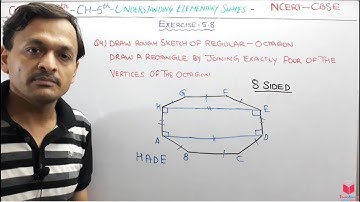 Q4) Ex 5.8 Class 6 Maths Chapter 5 Understanding Elementary Shapes | Maths Class 6 CBSE By Deepak