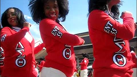 FAMU SPRING 09 DELTA PROBATE the BADST