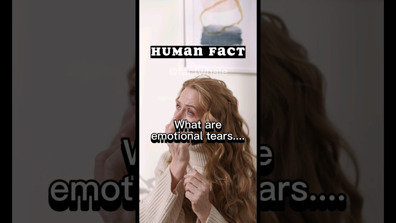 What are emotional tears? 😢 