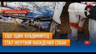 Еще один владимирец стал жертвой нападения собак Еще один владимирец стал жертвой нападения собак