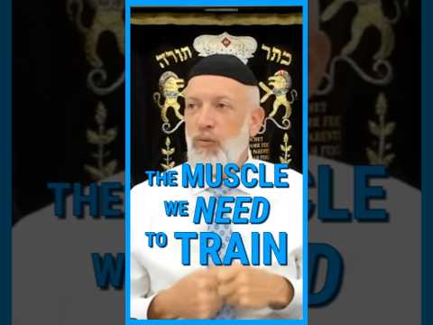 The MUSCLE we need to train