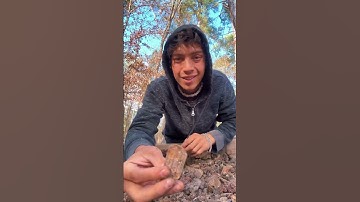 Returning A WWII Dog Tag Back To Its Owner!